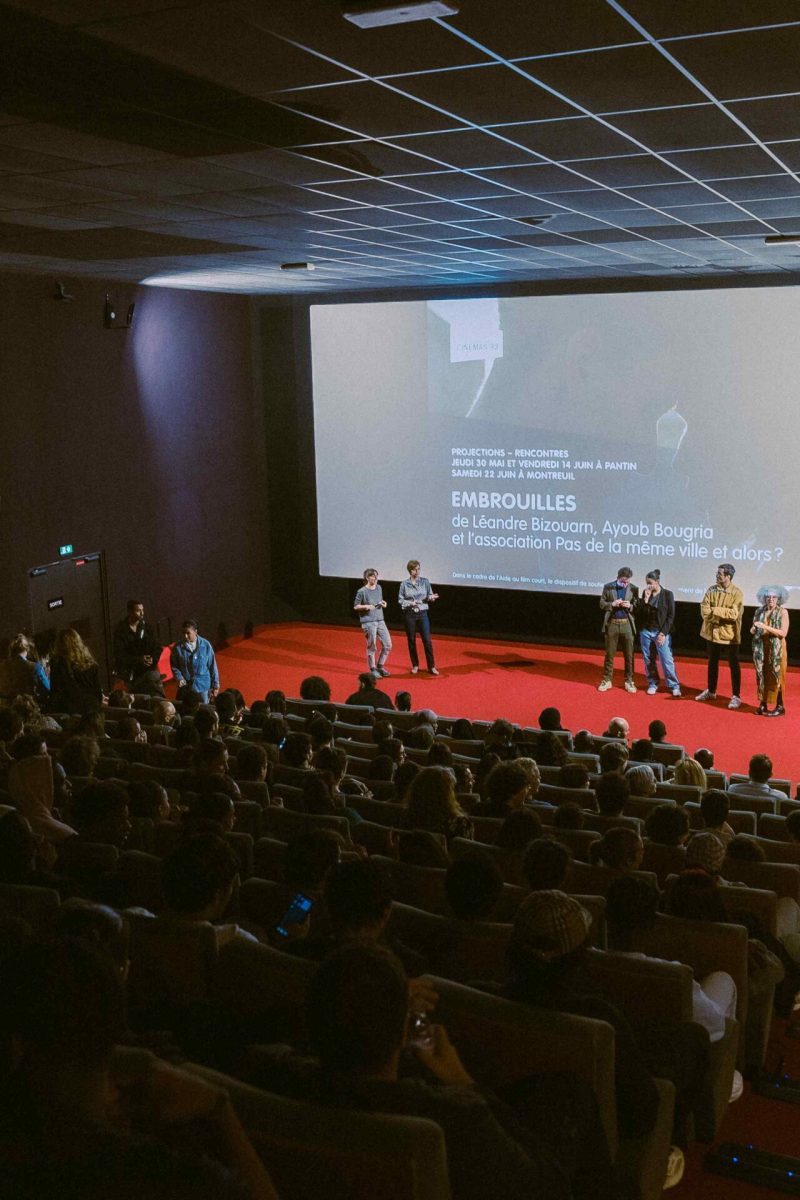 Copie de PROJECTION__LES EMBROUILLES__DSC06854_166